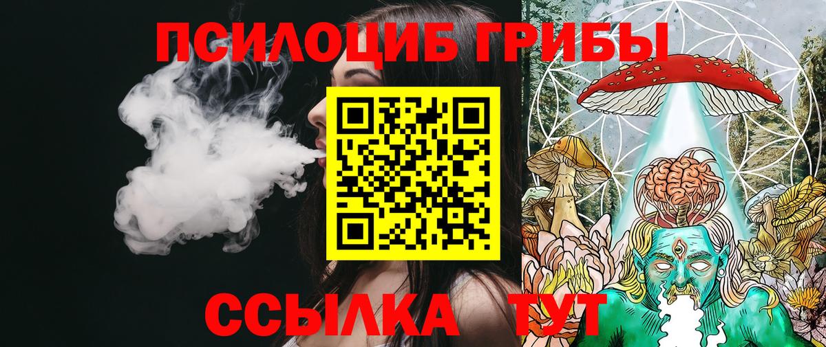 Воткинск  Галлюциногенные грибы прущие грибы  Вход с VPN 