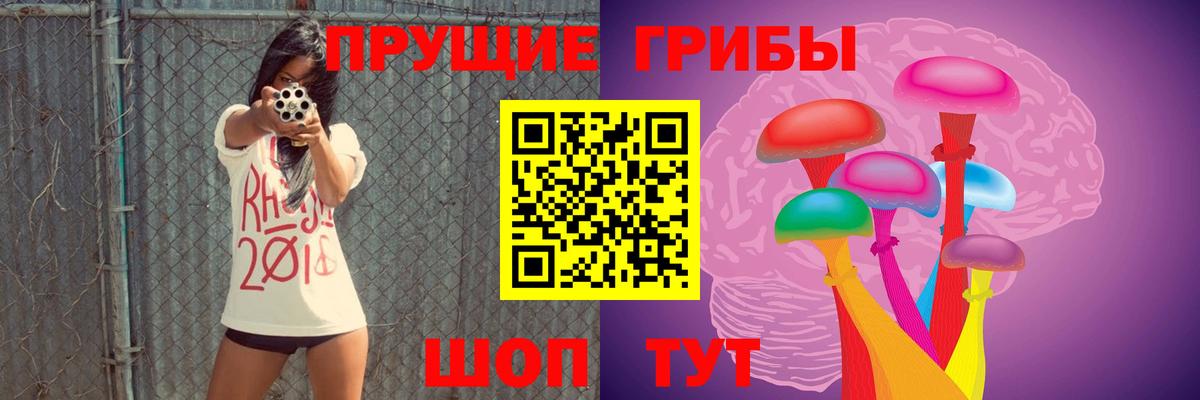 Галлюциногенные грибы Psilocybe Воткинск